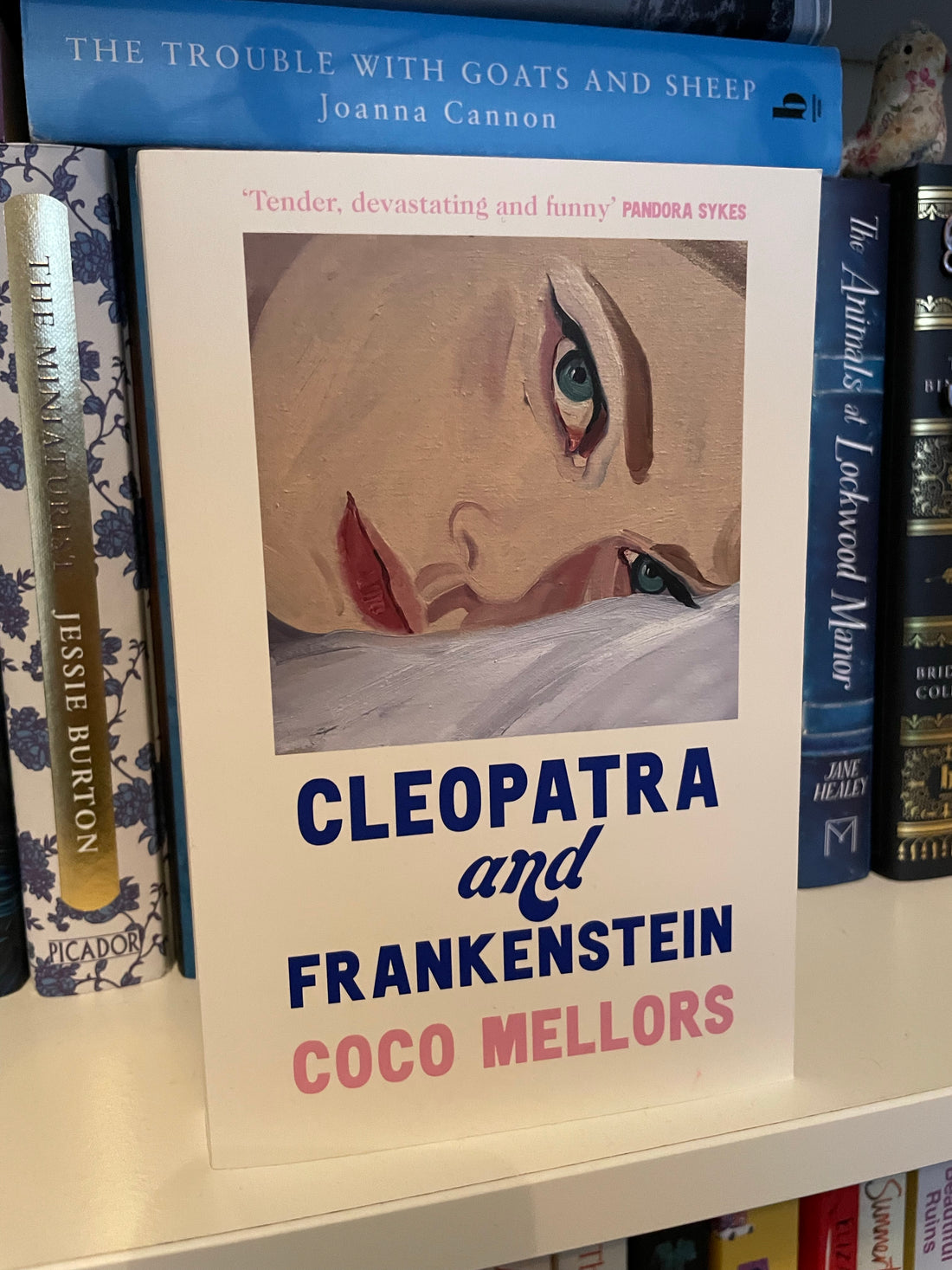 Cleopatra & Frankenstein by Coco Mellors